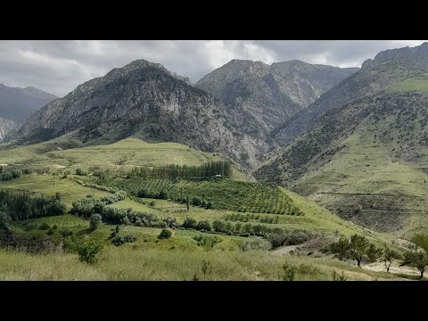 Видео: Илим менен билимге көпүрө тил, Адамды көкөлөткөн тили деп бил.