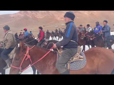 Видео: Аламан улак 7-январь | Алай, Будалык.