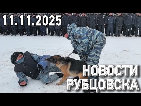 Видео: Новости Рубцовска (11.11.2025)