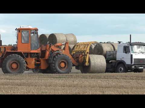 Видео: Сбор и Вывоз Соломенных Рулонов: АМКОДОР 352С, МТЗ Тропик 1221.3, МАЗ на поле