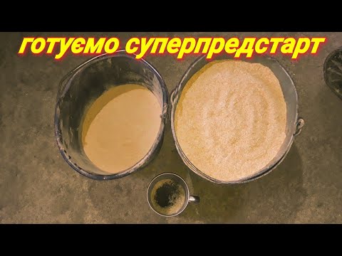 Видео: Предстарт, для поросят‼