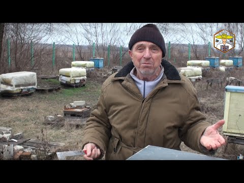 Видео: В гостях у пасічника: Весняне утеплення бджіл у дяді Міші. Що ж далі?