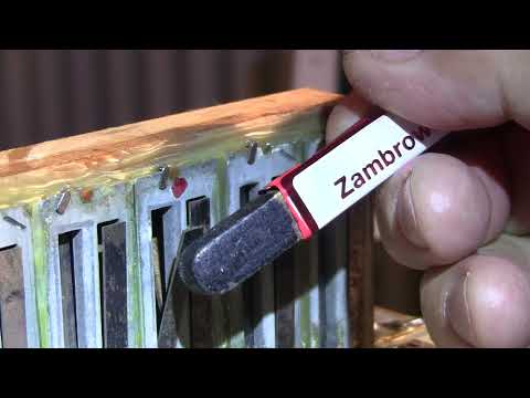 Видео: Дребезжание и треск голоса гармони :  п о ч е м у   ?