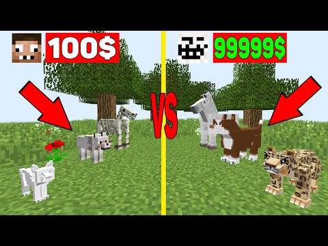 Видео: ПИТОМЦЫ ЗА 100$ ПРОТИВ ПИТОМЦЫ ЗА 99999$ В МАЙНКРАФТ ! ПРО И ЧИТЕР В ОРЁЛ И РЕШКА ТРОЛЛИНГ ЛОВУШКА