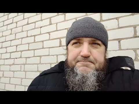 Видео: Продам пчёл, отдам улья бесплатно