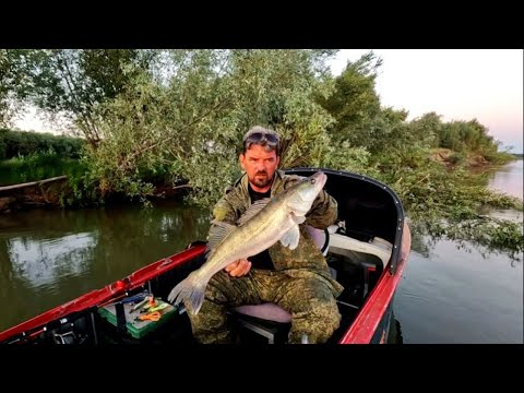 Видео: ЖАРА , ПЕКЛО , МОРЕ ПОКЛЕВОК ! Рыбалка на Оби ( Сузун ) 6 августа 2023г.