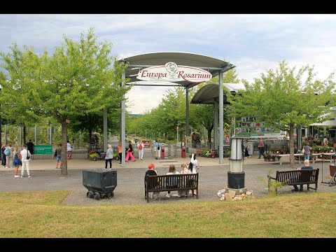 Видео: Зангерхаузен. Германия. 07.2023