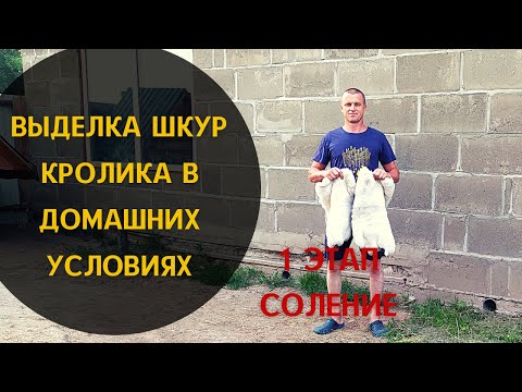 Видео: Выделка шкур кролика в домашних условиях.