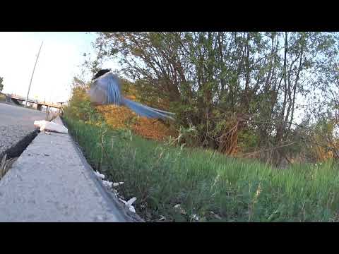 Видео: Передаём привет Марусе, живущей в „Вороньем гнезде“!