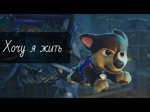 Видео: Я хочу жить (Skillet Cover), Щенячий патруль клип, Гончик и Райдер