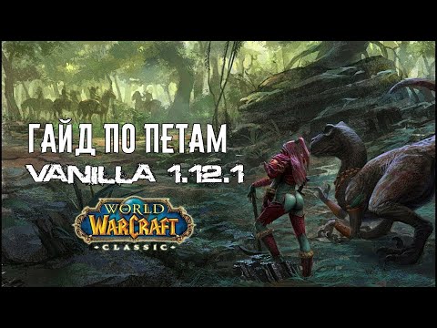 Видео: Лучший Гайд по петам World of WarCraft Classic 1.12.1