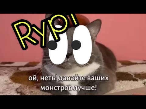 Видео: котики в школе rytp