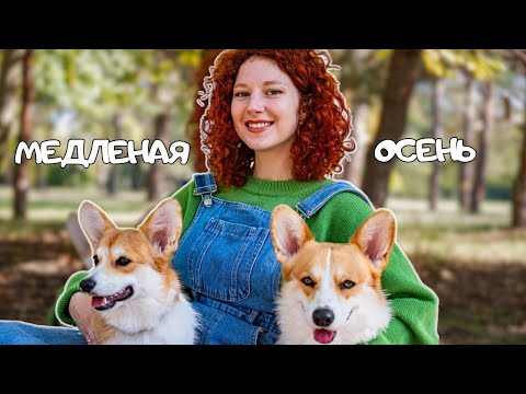 Видео: Как замедлиться вместе с питомцами | Уютный осенний день 🌿