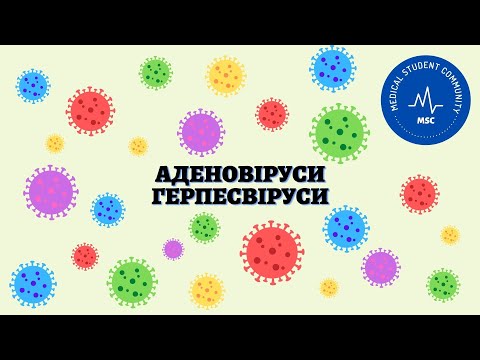 Видео: АДЕНОВІРУСИ.ГЕРПЕСВІРУСИ: ВПГ-1 та ВПГ-2, вірус вітряної віспи, цитомегаловірус, вірус Епштейна-Барр