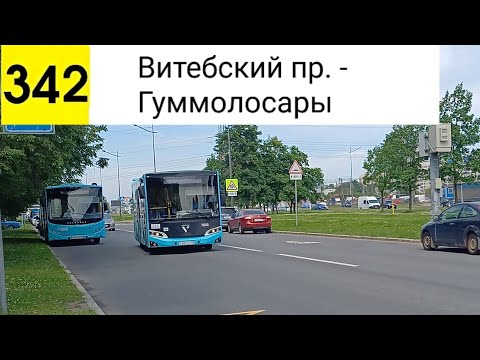 Видео: Автобус 342. Витебский пр. - Гуммолосары
