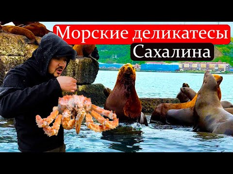 Видео: ЯКУТСК - САХАЛИН НА МАШИНЕ / СИВУЧИ / МОРСКИЕ ДЕЛИКАТЕСЫ / часть 3