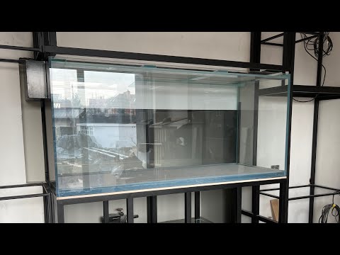 Видео: Морской аквариум Made in China