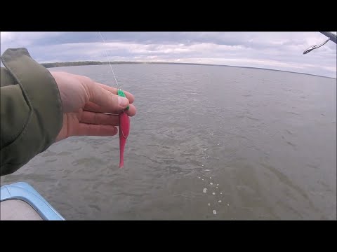 Видео: В поисках судака на зеленый поролон - Яузское водохранилище #2