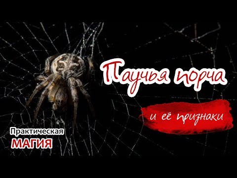 Видео: Паучья порча и её признаки