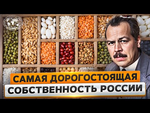 Видео: Великий Вавилов. Жизнь за семена  | @Русское географическое общество