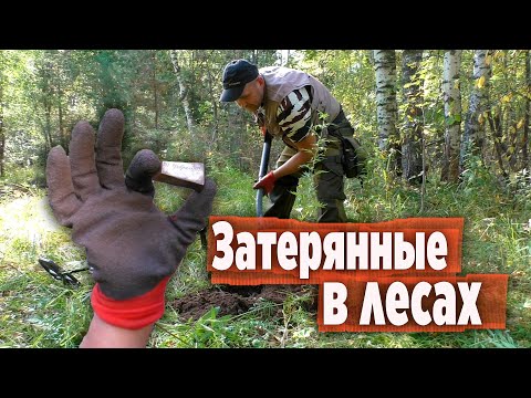 Видео: НАХОДКИ В ЛЕСУ! НАШЁЛ СЕРЕБРО.