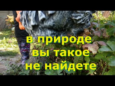 Видео: А Вы Видели ТРЯПИЧНЫЕ ВАЛУНЫ   Посмотрите