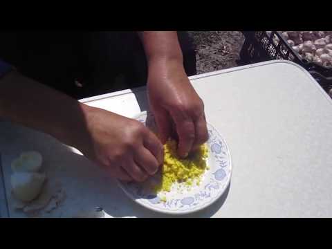 Видео: Как избавиться от тараканов навсегда! 100 % дешевое народное средство.