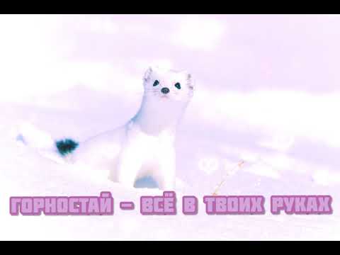 Видео: Горностай - Всё в Твоих Руках|Шоу "Маска-4|[3-Выпуск👐]