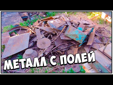 Видео: КРУПНОЕ ТРАКТОРНОЕ ЖЕЛЕЗО НА НЕКОПАНОМ ПОЛЕ | Металокоп На Полях В Исчезнувшей Деревне