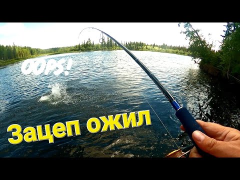 Видео: Опасная рыбалка в Туве или огромный таймень на крючке #3