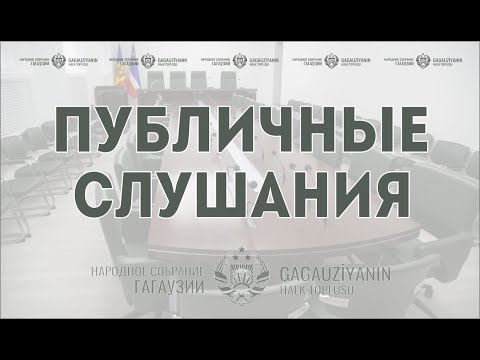 Видео: Публичные слушания от 5 ноября | ЗИ-451, ЗИ-461