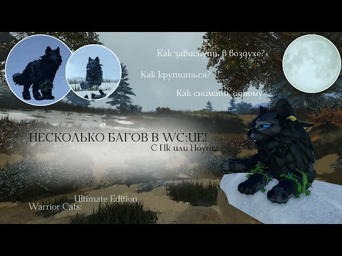 Видео: НЕСКОЛЬКО БАГОВ В WC:UE! | С Пк и Ноута/Объяснение | Warrior Cats: Ultimate Edition