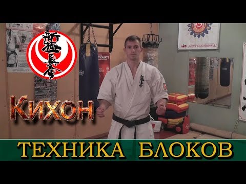 Видео: Шинкиокушинкай. Кихон. Техника блоков