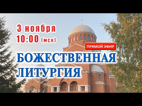 Видео: Прямая трансляция: Божественная литургия. 3 ноября 2024