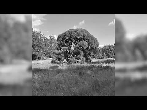 Видео: СМОКИ МО x GUF x JAMIK x SANTIZ ЛИРИКА UNDERGROUND BOOM BAP TYPE BEAT