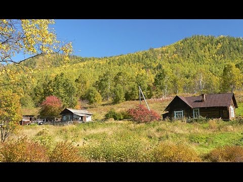 Видео: Коп на хуторах и мини-обзор Minelab Safari