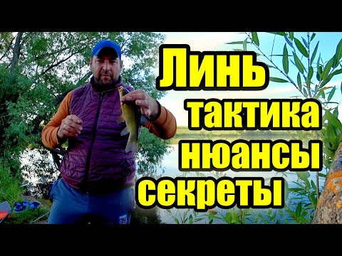 Видео: Линь. Тактика Нюансы Секреты ловли линя