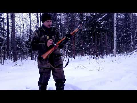 Видео: мц 20 01 латунь дробьN3 на порохе ирбис32