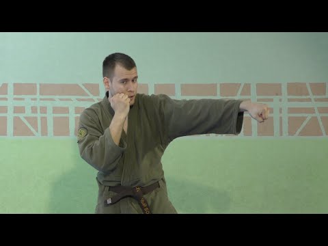 Видео: Мастер-класс «Техника рукопашного боя» Ударная техника руками - Щербань В.Ю.