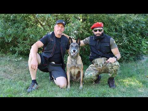 Видео: Дресьор на кучета е призвание: Интервю със Стефан Гелимачев