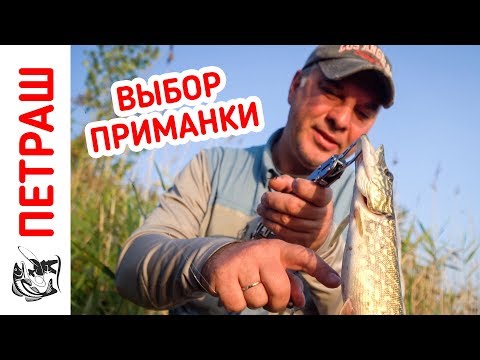 Видео: Береговая ЛОВЛЯ ЩУКИ в проверенных местах! ВЫБОР ПРИМАНКИ тактика Рыбалки