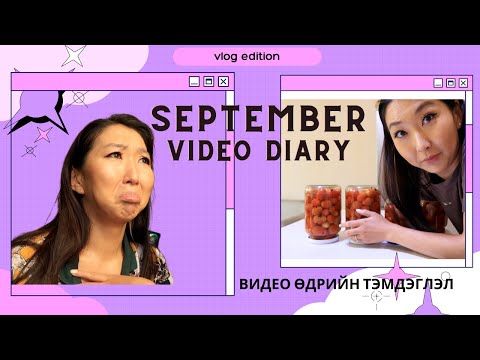 Видео: ВИДЕО ӨДРИЙН ТЭМДЭГЛЭЛ: Ногоо дарж үзлээ, стикер зүсэгч маань ирэв ✨