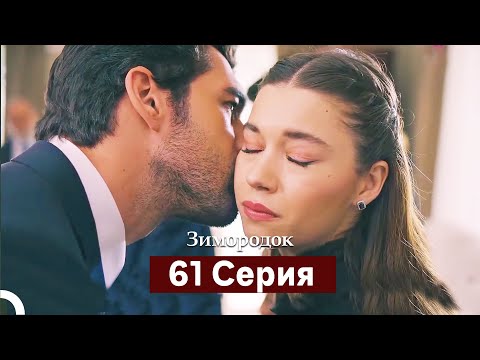 Видео: Зимородок 61 Cерия (Русский дубляж)