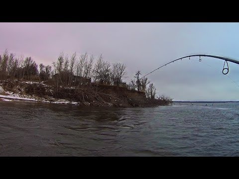 Видео: Жаль, что потеряли столько времени, ведь рыба была совсем в другом месте