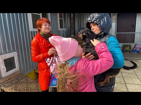 Видео: Эта собака ОЧАРОВАЛА РЕБЁНКА! Может быть это НА ВСЮ ЖИЗНЬ?
