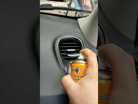 Видео: Renault Scenic II dCiЗамена салонного фильтра и очистка кондиционера