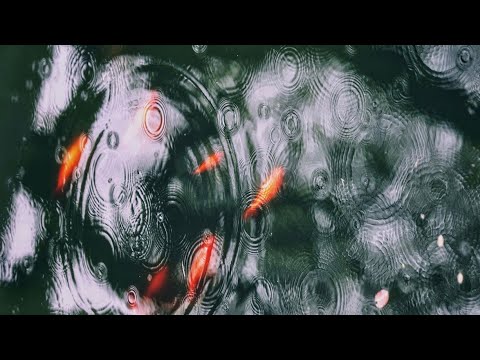 Видео: Даосские практики как искусство развития геометрии тела