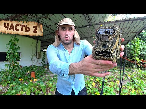 Видео: Поставил Фото ловушку на необитаемом острове [2-Часть] Проверяю ловушки. Ловля крабов
