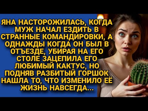 Видео: Яна подозревала мужа, а отправив в командировку, случайно разбила его кактус и нашла...