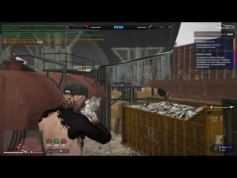 Видео: стреляю через стены на @GTA5RP